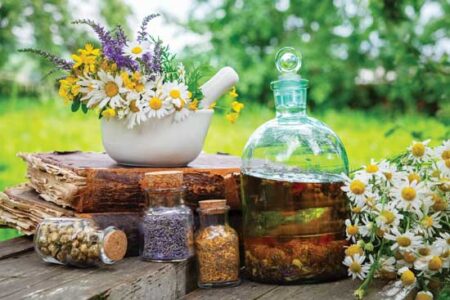 Herbal Tinctures for Health and Well-Being
